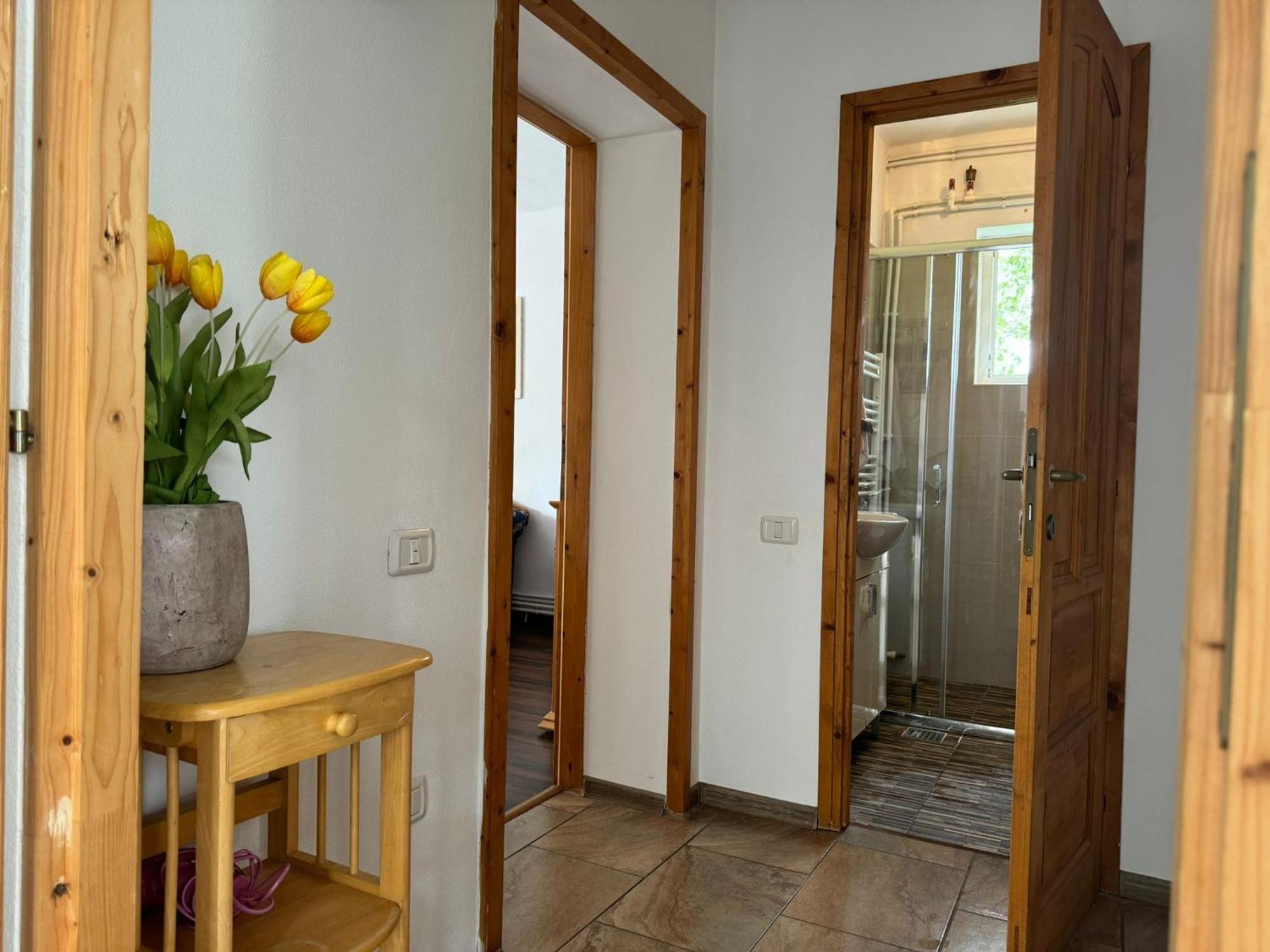 Home Tara Haţeg 외부 사진